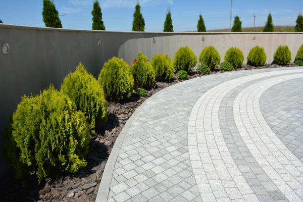 Best Driveway Paving Company  in Hudson, NC